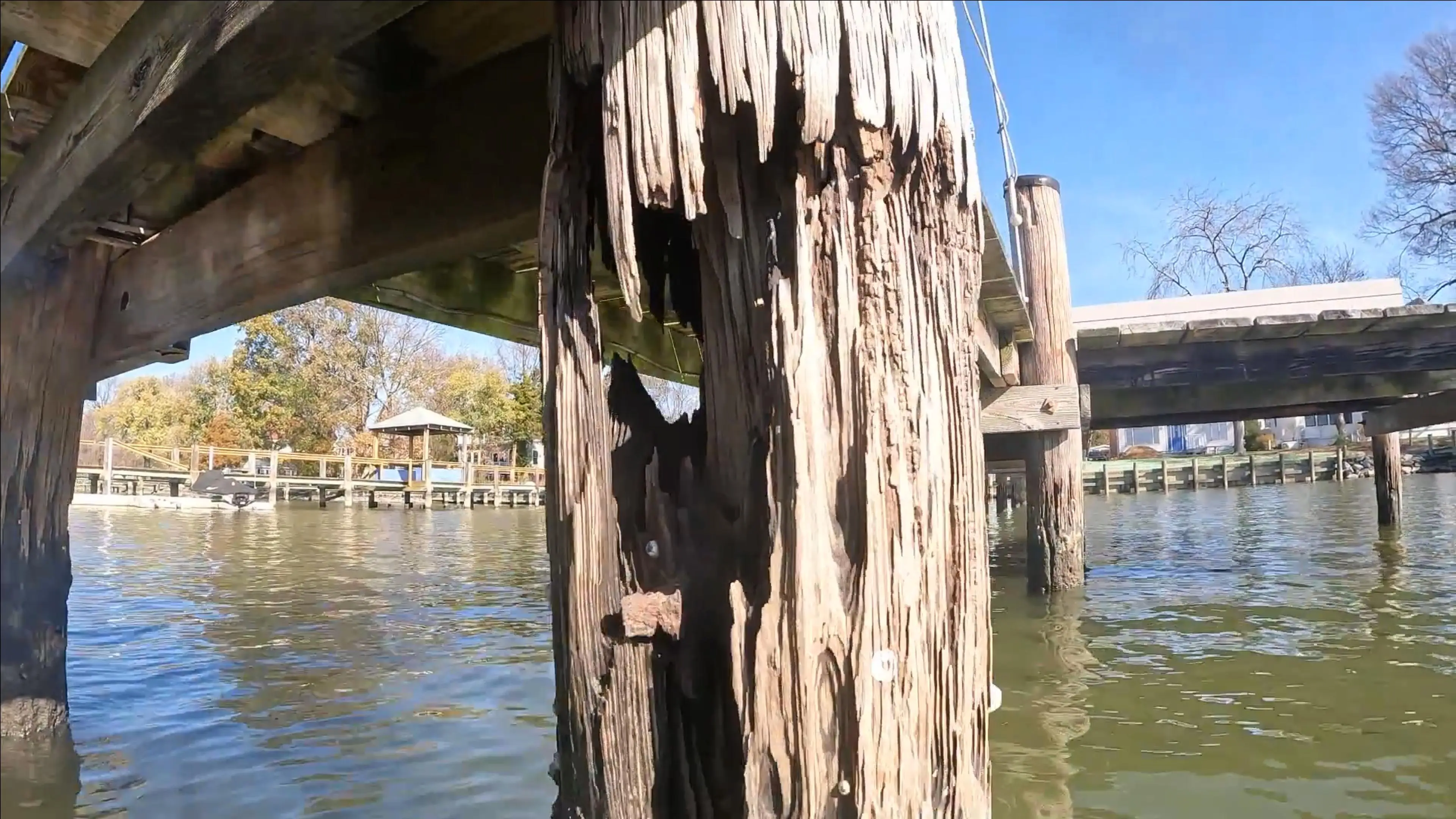Pier Piling Inspection Underwater Pier/Dock & Bulkhead Inspection inspected by Showalter Property Consultants in Maryland